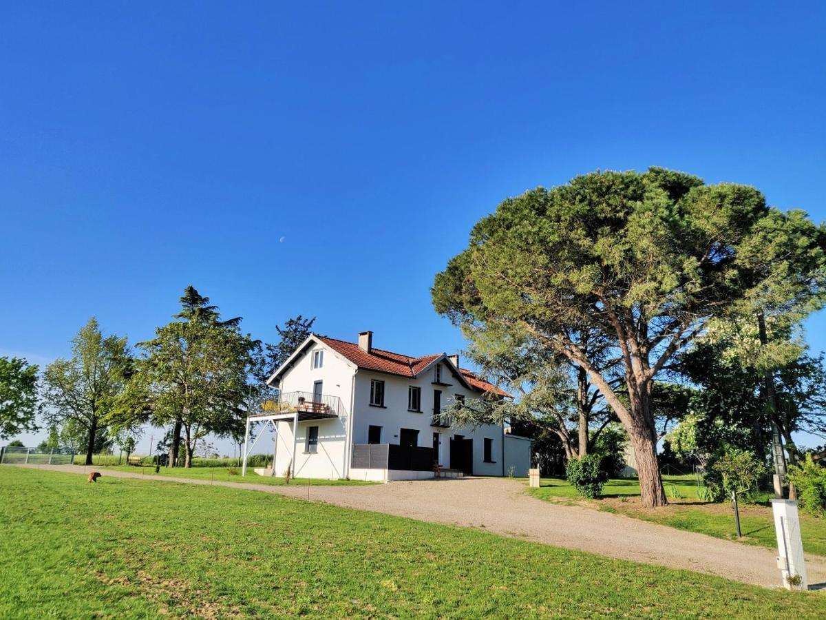Le Cottage Nature Primeur Sauna Gaillac Entre Albi-Toulouse & Les Cottages Du Tarn Brens  외부 사진